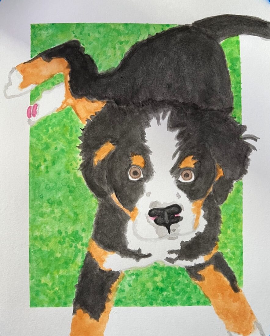 Watercolor portrait of a Bernese mountain dog puppy on green